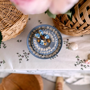 Nantucket Forget Me Knot